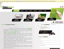 Tablet Screenshot of pakar-service.pl